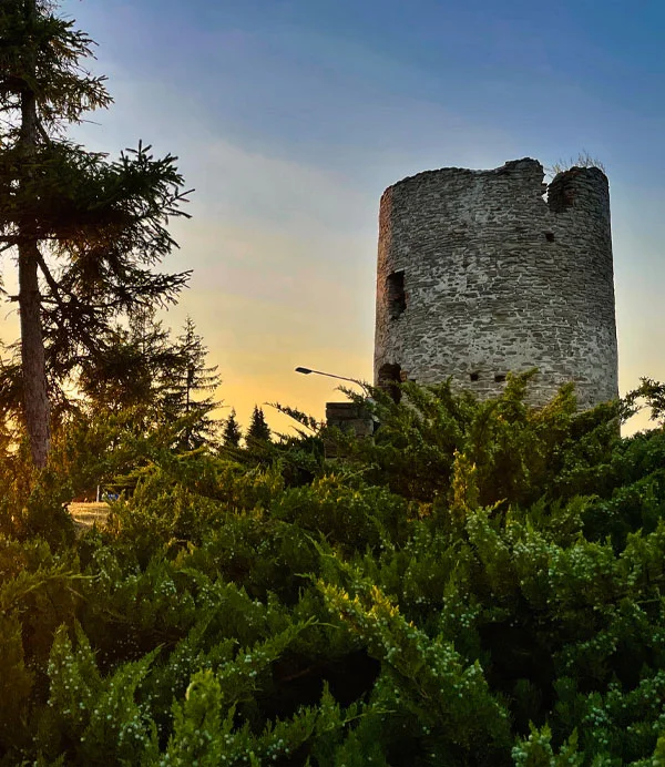 Die alte Windmühle