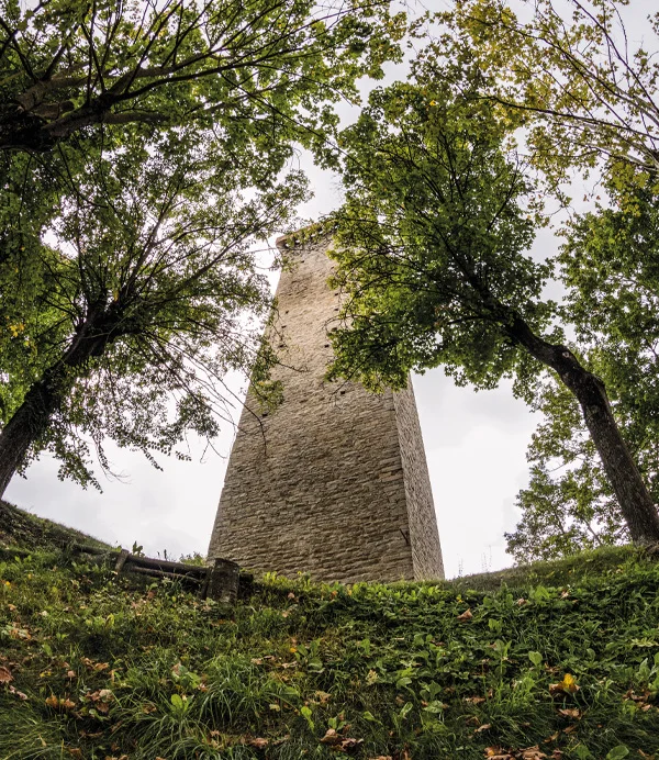 La Torre Maestra