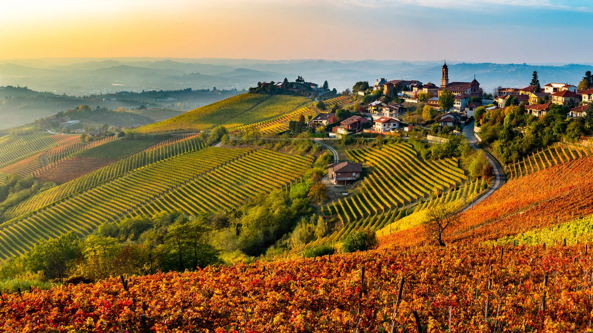 Sentiers et collines de l'Alta Langa
